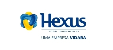 Logo Hexus grande